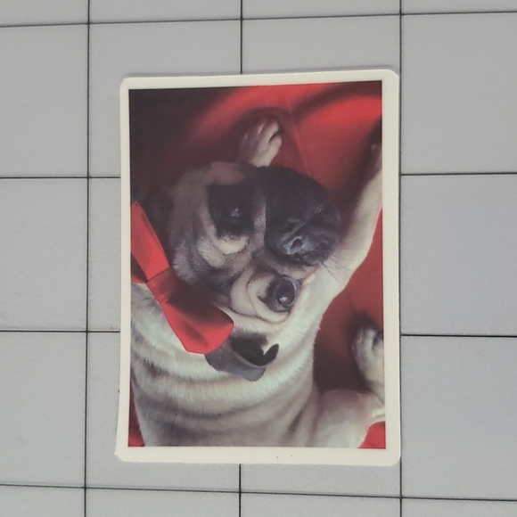 Pug Sticker - Picture 1 of 3